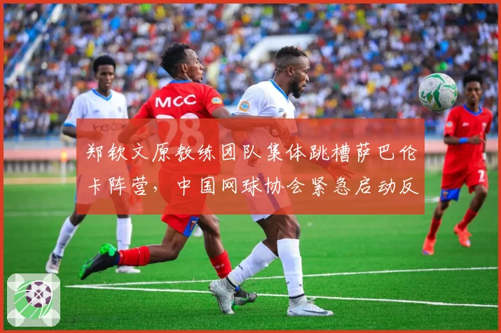 郑钦文原教练团队集体跳槽萨巴伦卡阵营,中国网球协会紧急启动反挖角协议