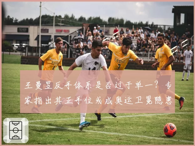 王曼昱反手体系是否过于单一?专家指出其正手位或成奥运卫冕隐患