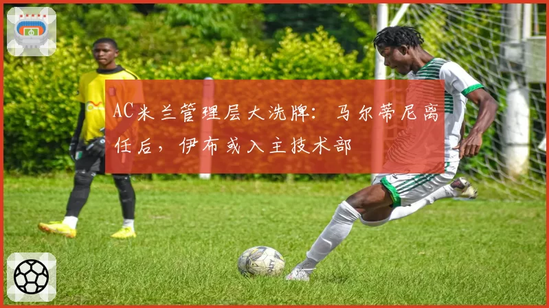 AC米兰管理层大洗牌:马尔蒂尼离任后,伊布或入主技术部