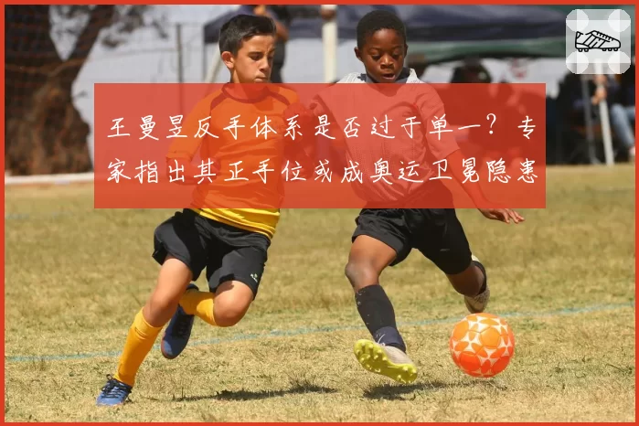 王曼昱反手体系是否过于单一?专家指出其正手位或成奥运卫冕隐患